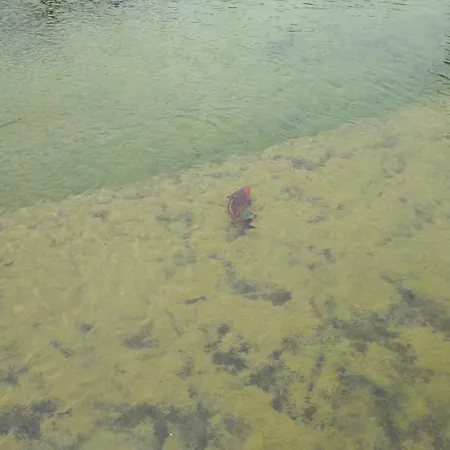 Farma Il Selvello Le Versegge